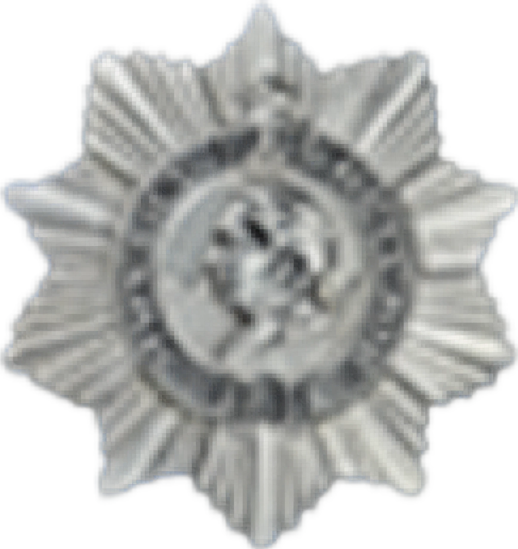 Medal 5
