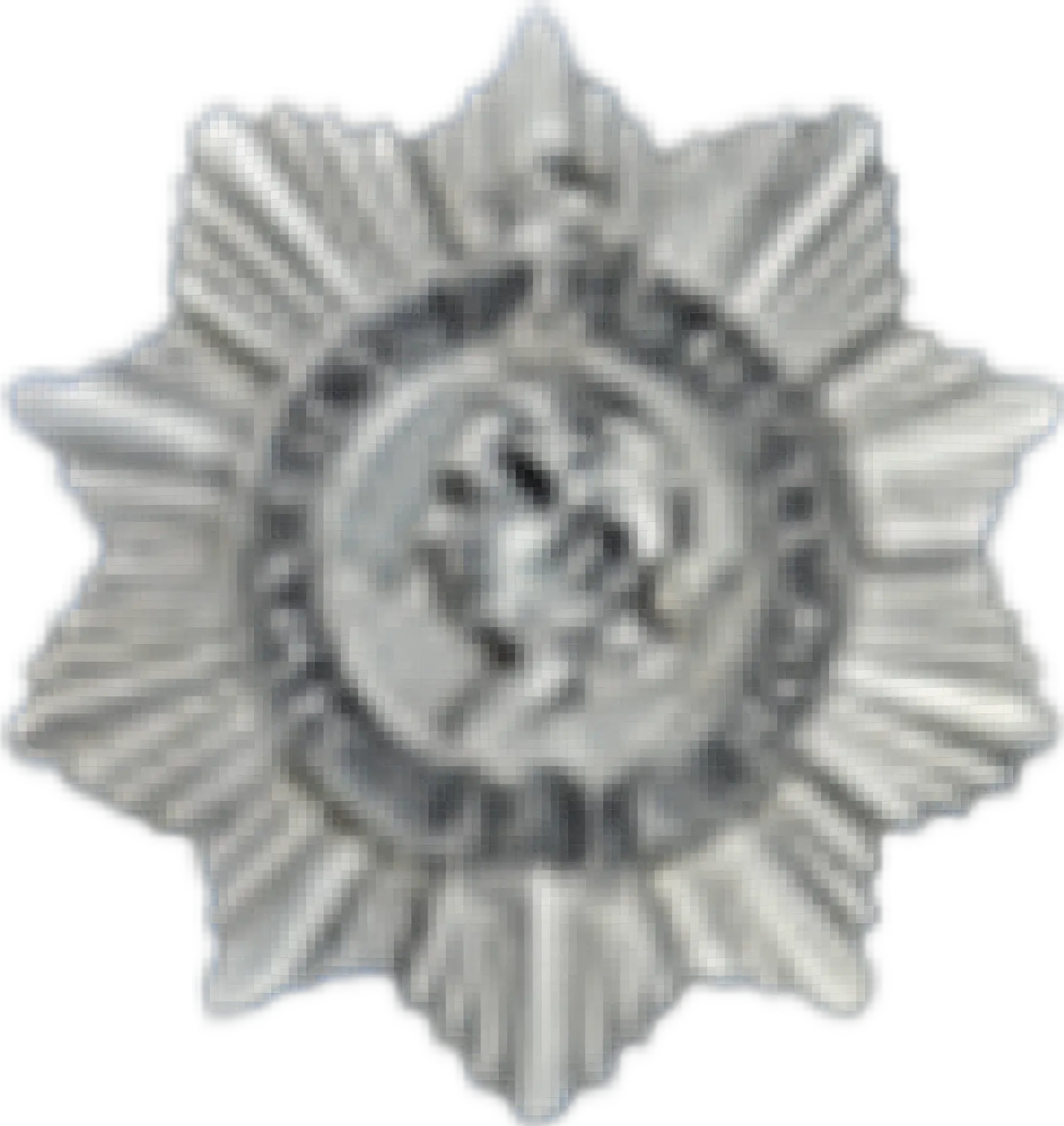 Medal 5